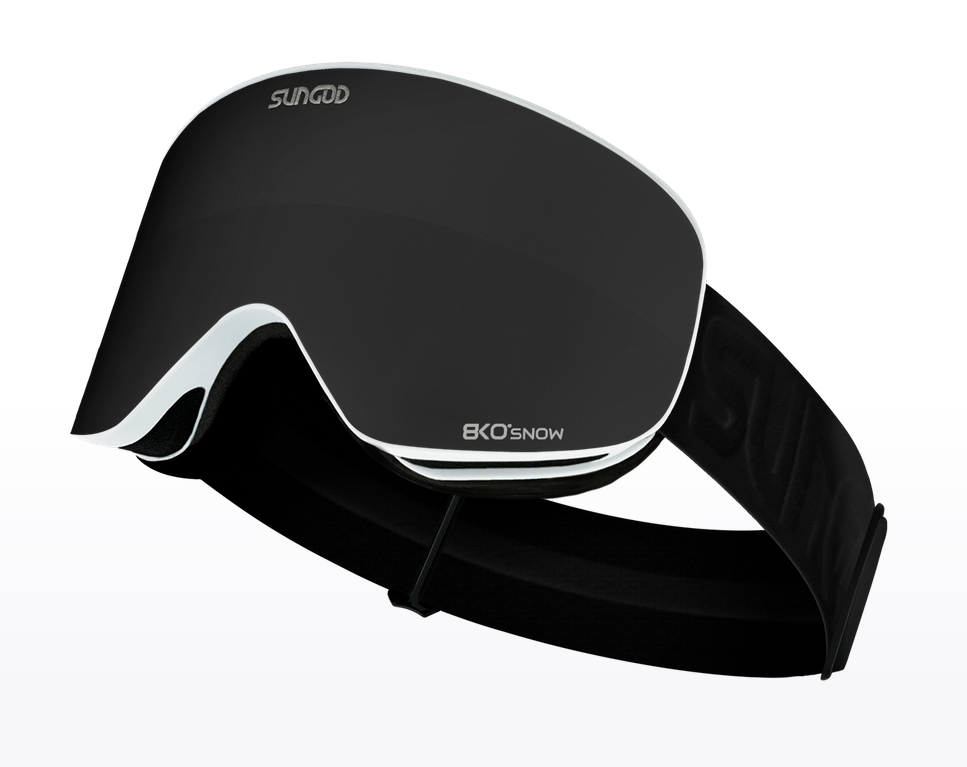 Mirrored Lens Goggles